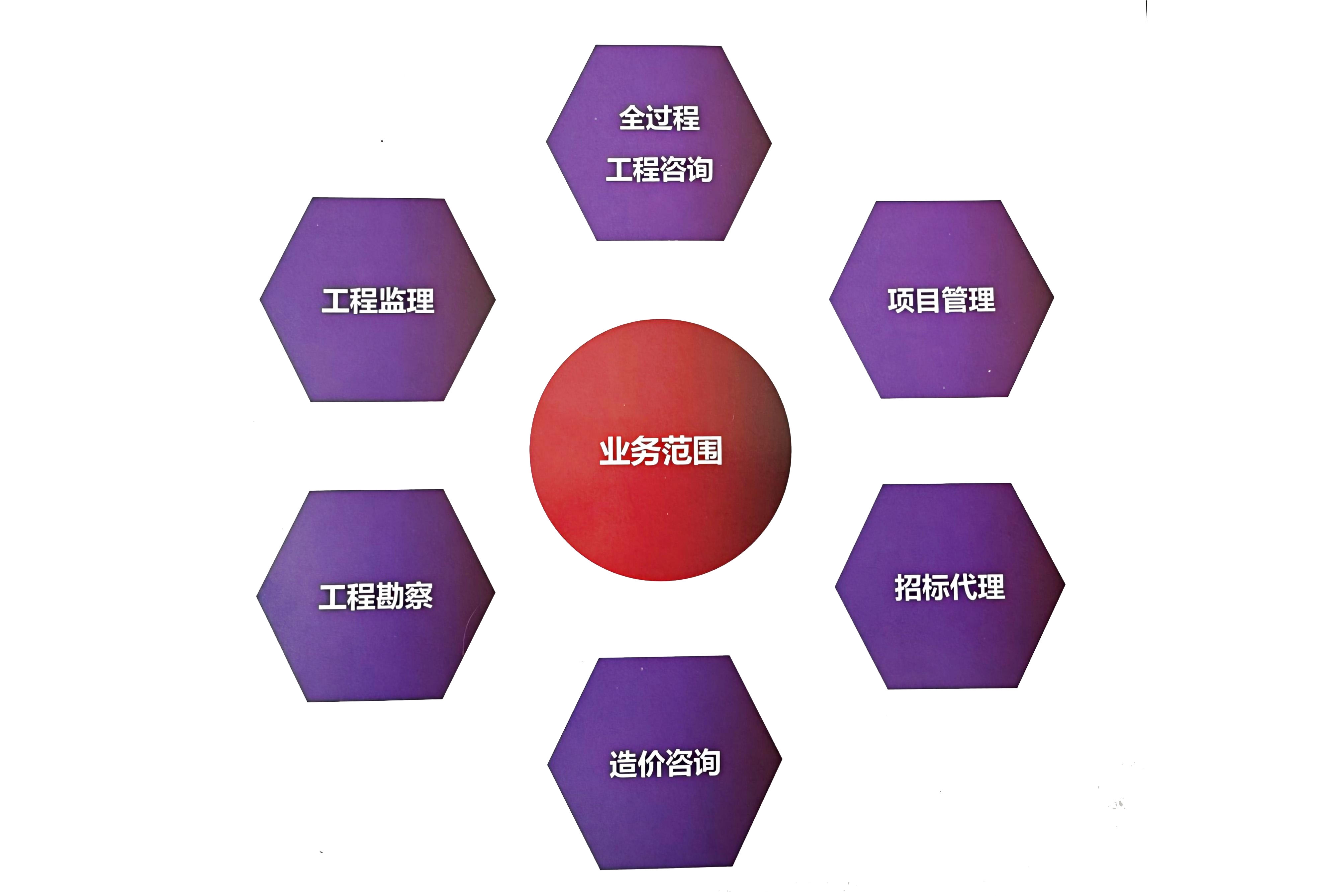 項目咨詢板塊